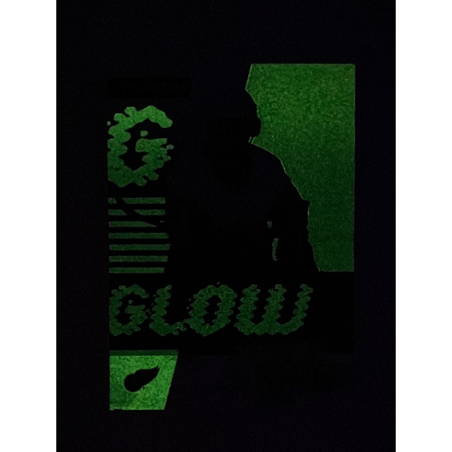 2022-23 Synergy Lucas Raymond | Local Legends Cards & Collectibles