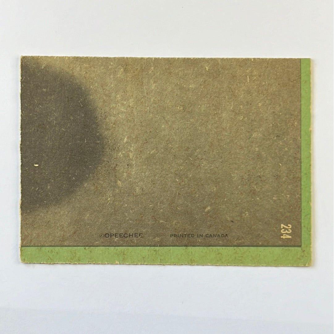 1970-71 O-Pee-Chee Tony Esposito 1st Team All-Star Puzzle Piece #234 | Local Legends Cards & Collectibles