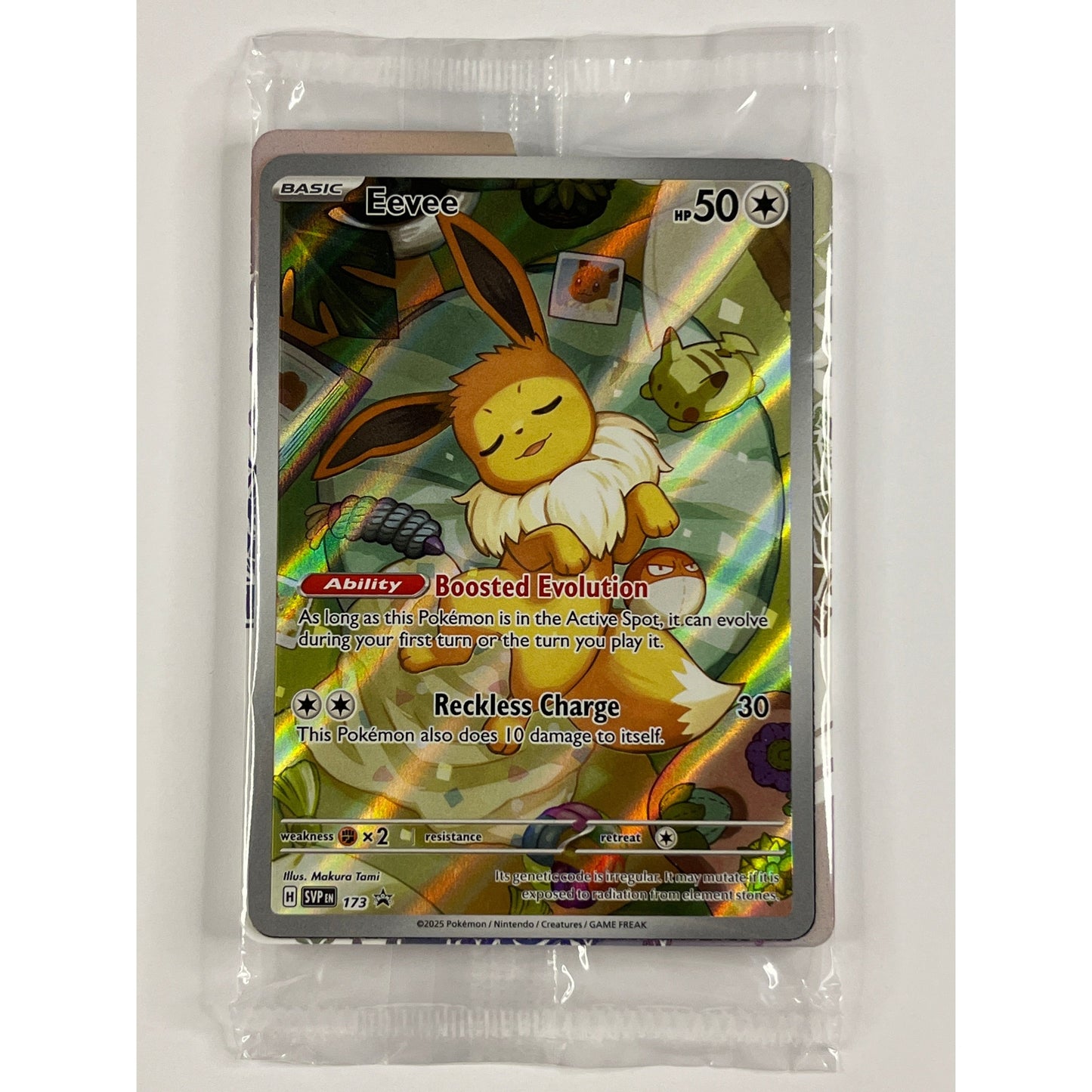 Eevee Holo Black Star Promo 173
