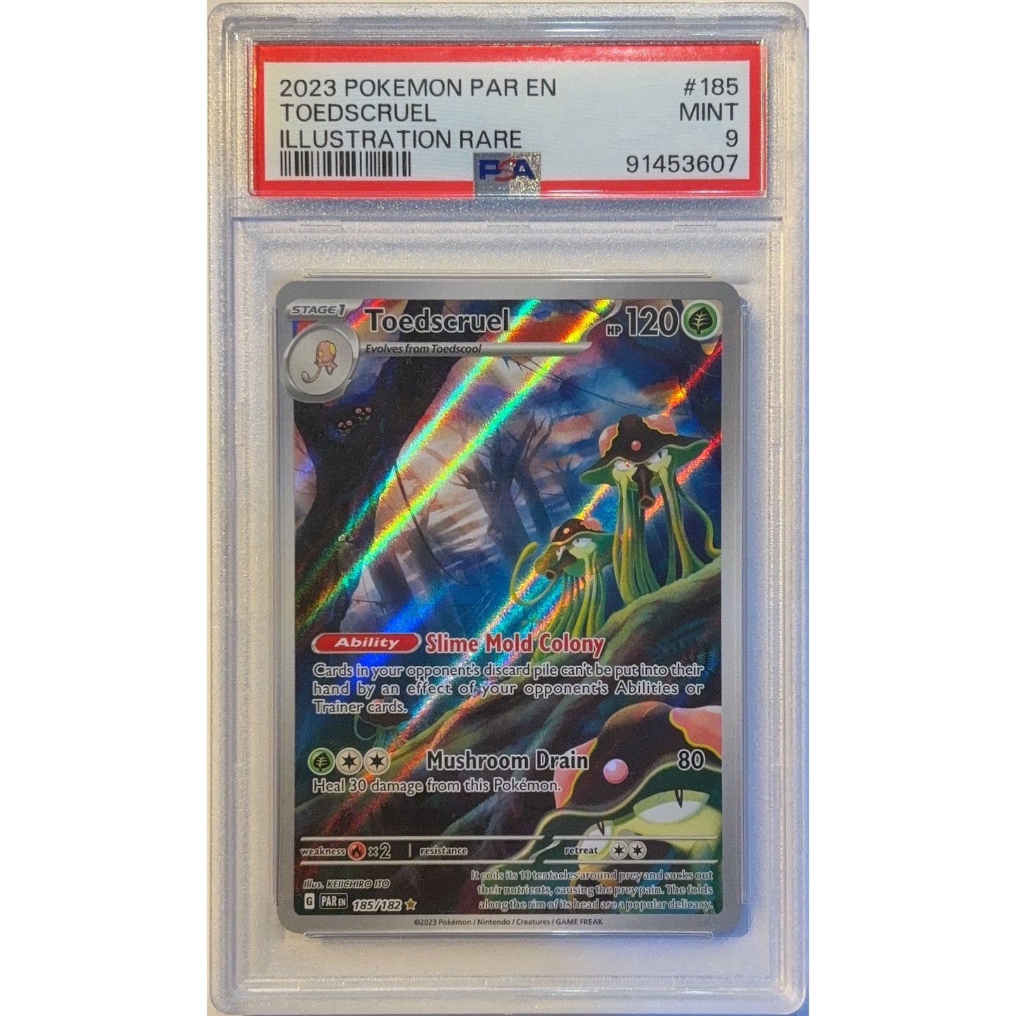Toedscruel Holo Illustration Rare 185/182 PSA 9 MINT