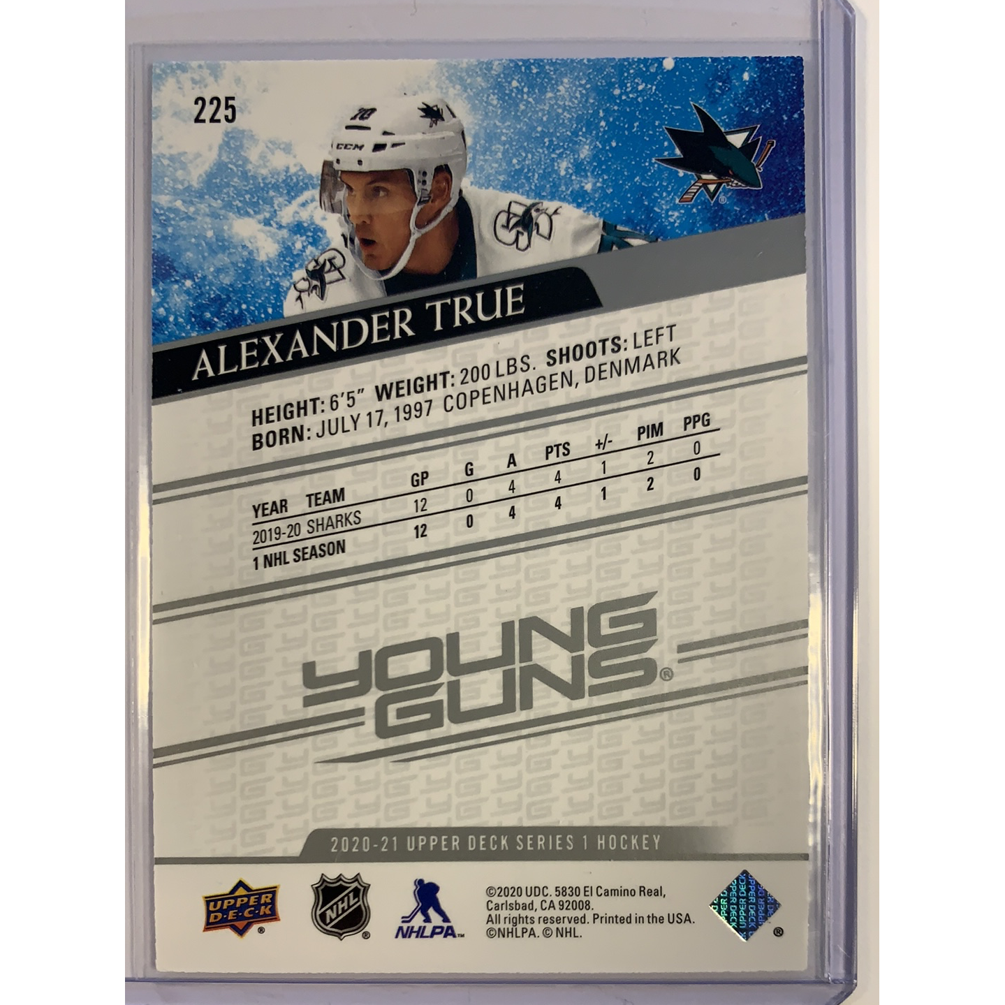 2020-21 Upper Deck Series 1 Alexander True Young Guns  Local Legends Cards & Collectibles