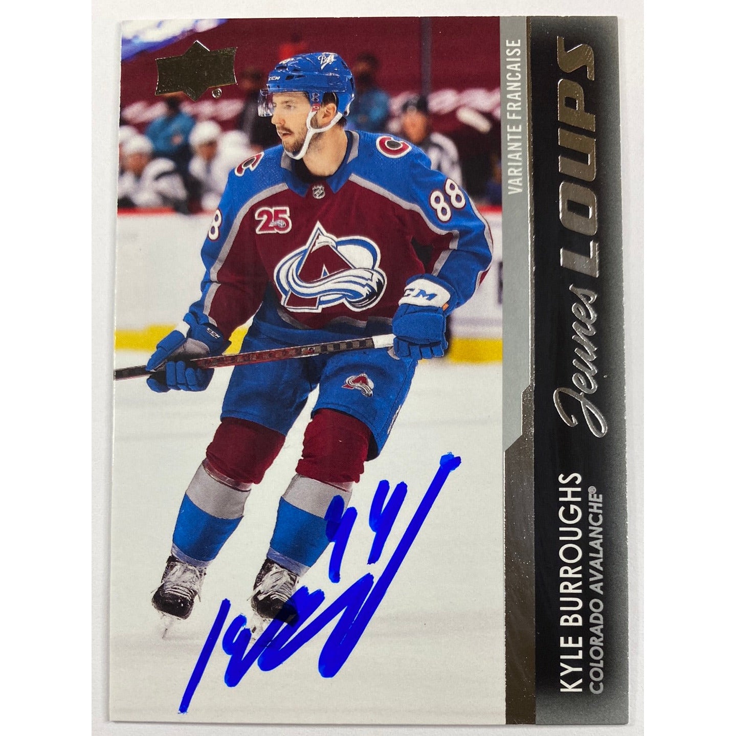 2021-22 Series 1 Kyle Burroughs Young Guns French Variant In Person Auto | Local Legends Cards & Collectibles