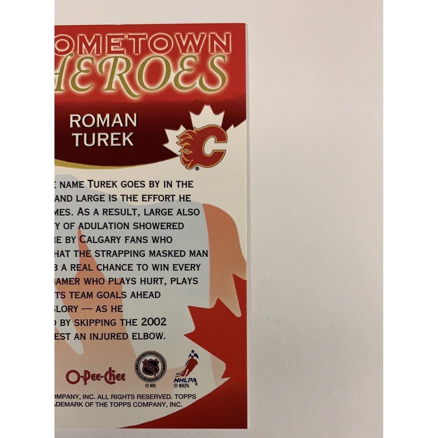 2002 O-Pee-Chee Roman Turek Hometown Heroes Local Legends Cards & Collectibles