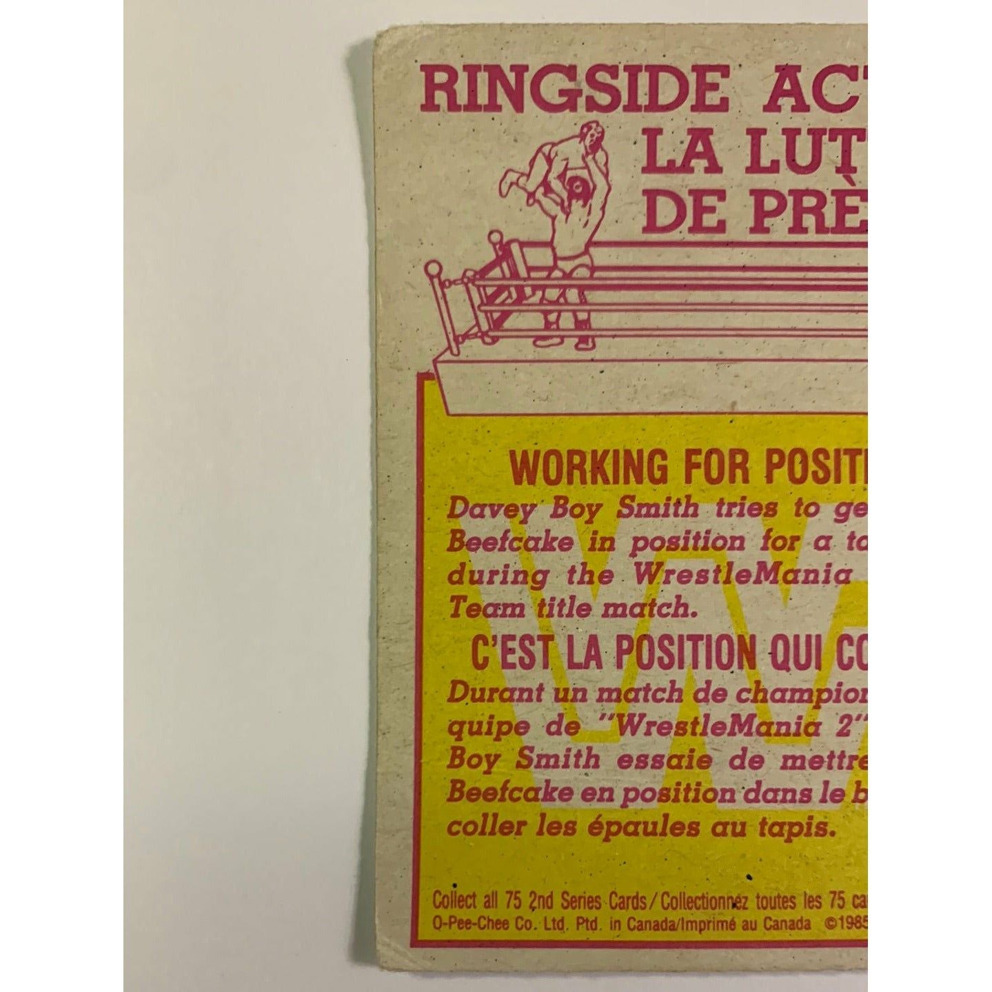 1985 Titan Sports Working for Position | Local Legends Cards & Collectibles