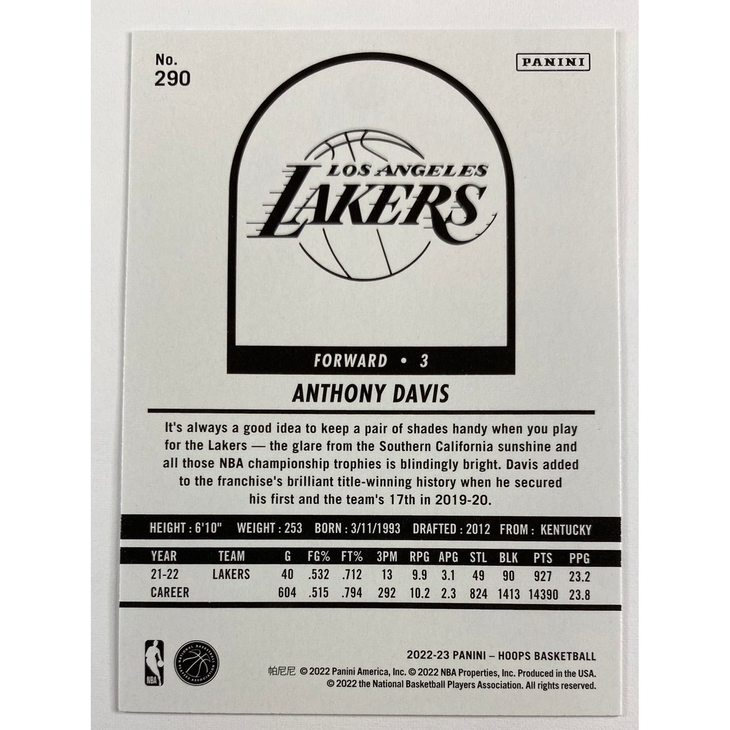 2022-23 Hoops Anthony Davis Retro | Local Legends Cards & Collectibles