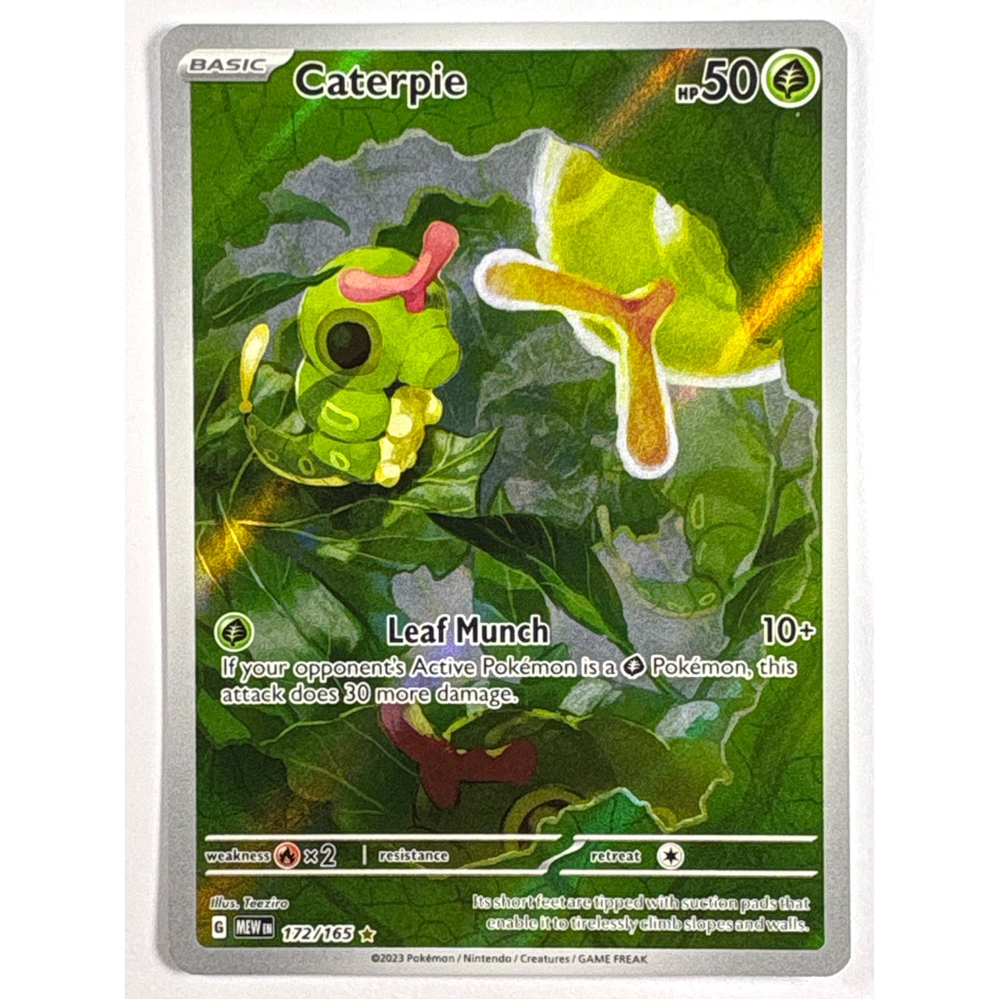 Caterpie Holo Illustration Rare 172/165 | Local Legends Cards & Collectibles