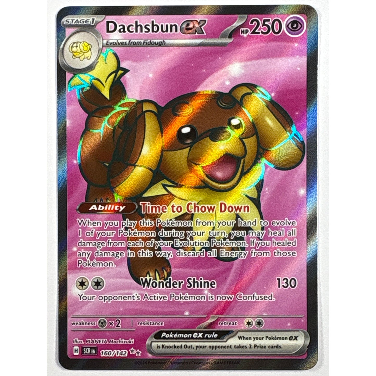 Dachsburn EX Holo Ultra Rare 160/142