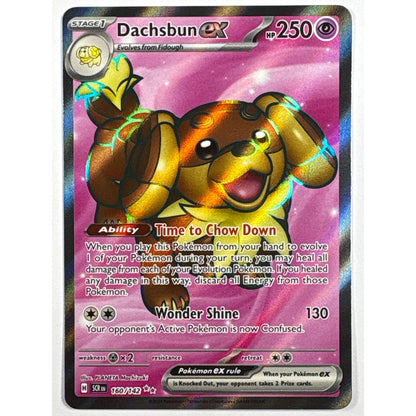 Dachsburn EX Holo Ultra Rare 160/142