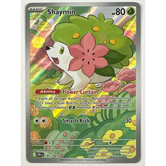 Shaymin Holo Illustration Rare 185/182