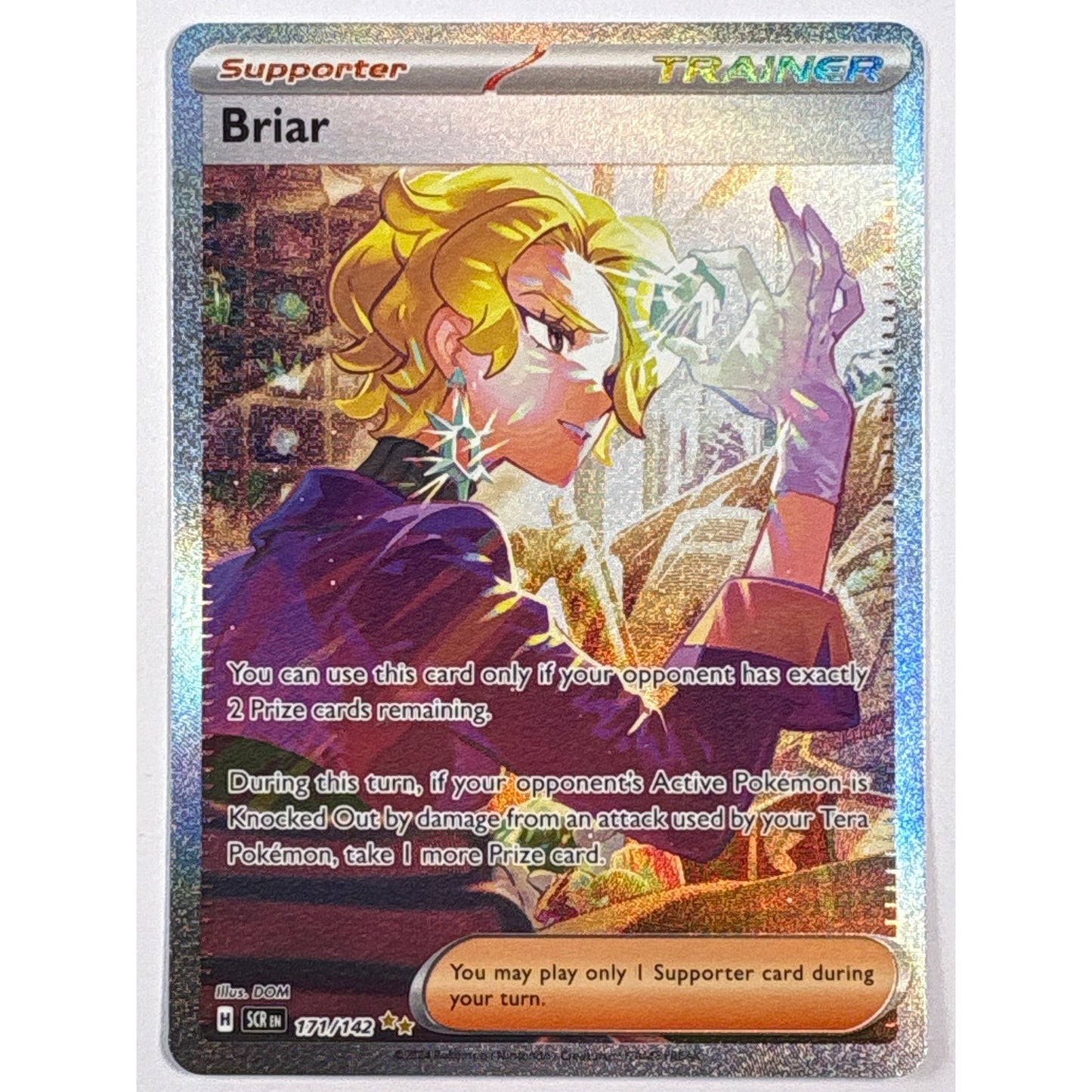 Briar Holo Special Illustration Rare 171/142 | Local Legends Cards & Collectibles