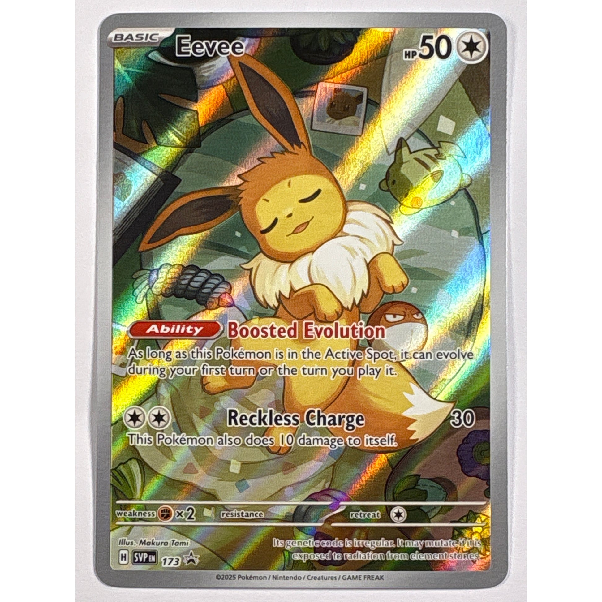 Eevee Holo Black Star Promo 173 | Local Legends Cards & Collectibles