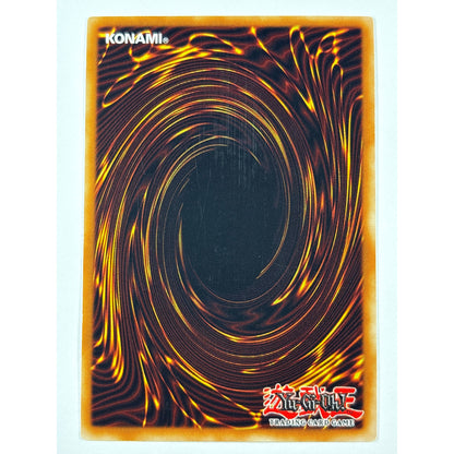 Limited Edition Blue-Eyes White Dragon Quarter Century Rare LC01-EN004 | Local Legends Cards & Collectibles