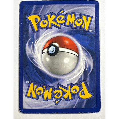 Hitmonlee Holo Rare 13/110