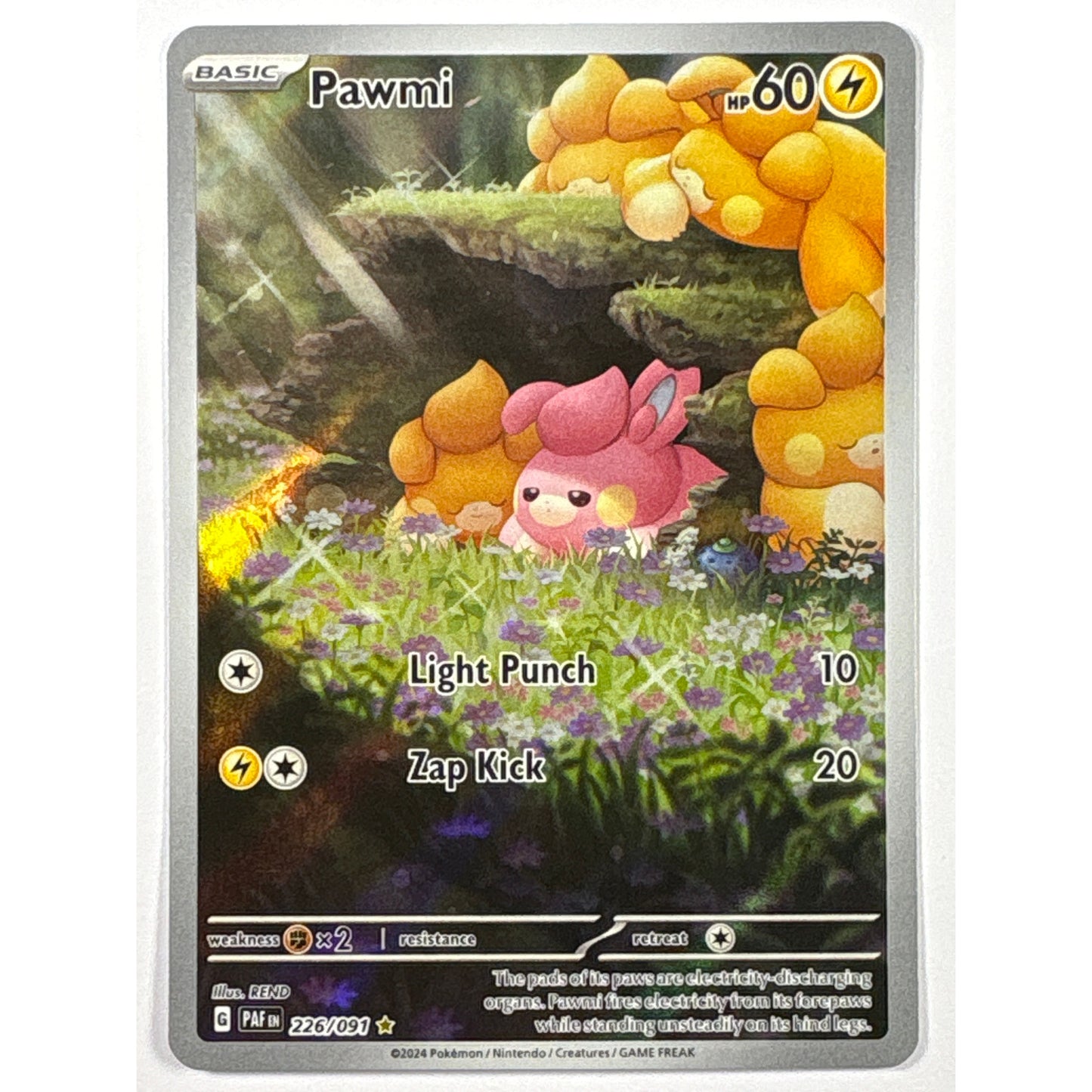 Pawmi Holo Illustration Rare 226/091 | Local Legends Cards & Collectibles
