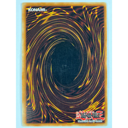 Limited Edition Dark Paladin Holo PScR DMG 1
