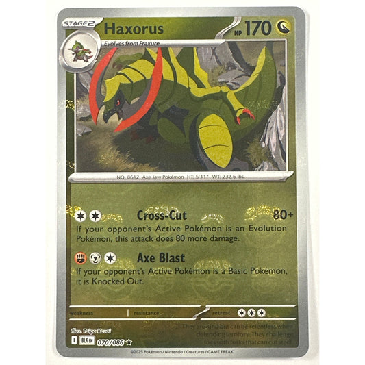Haxorus Master Ball Holo Rare 070/086