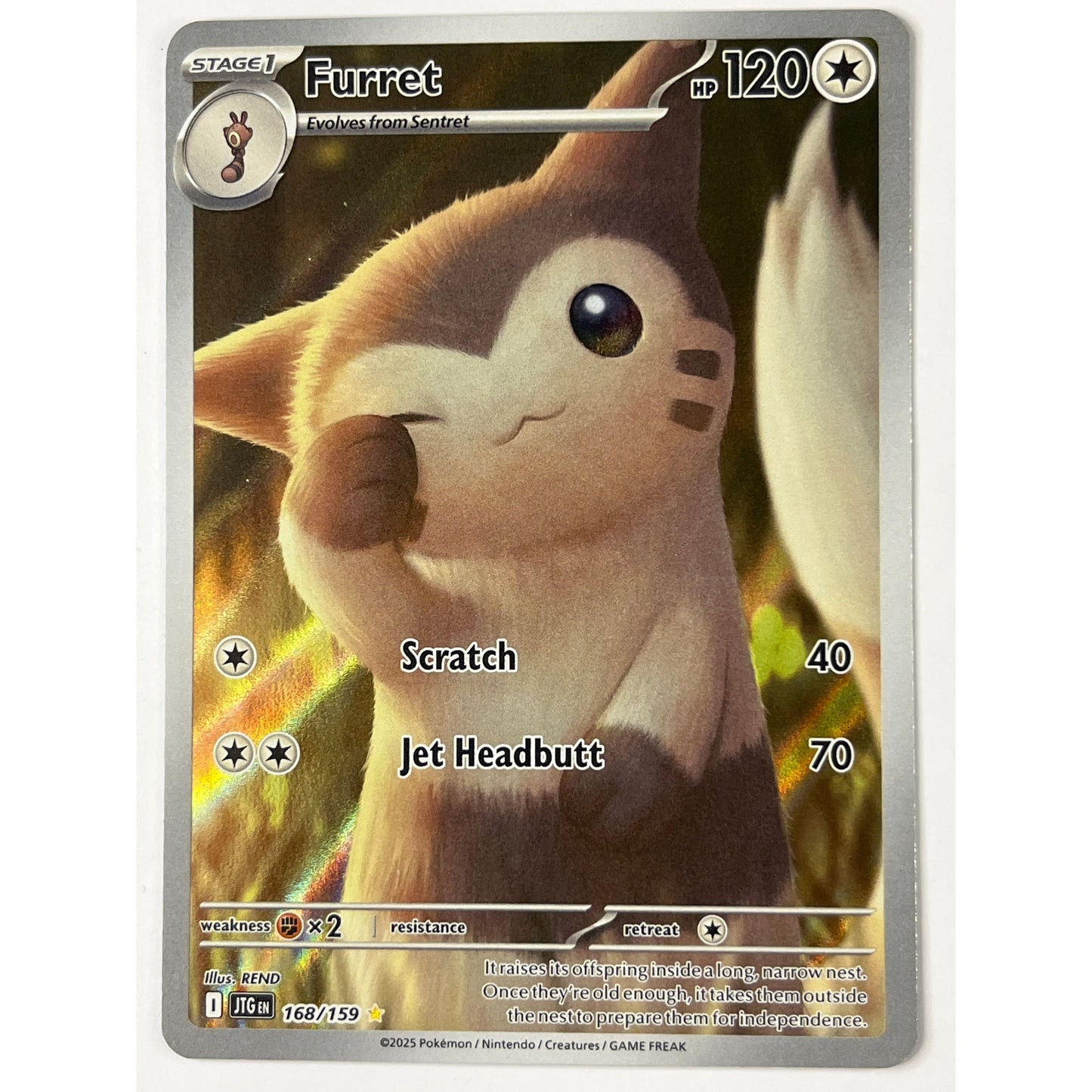 Furret Holo Illustration Rare 163/159
