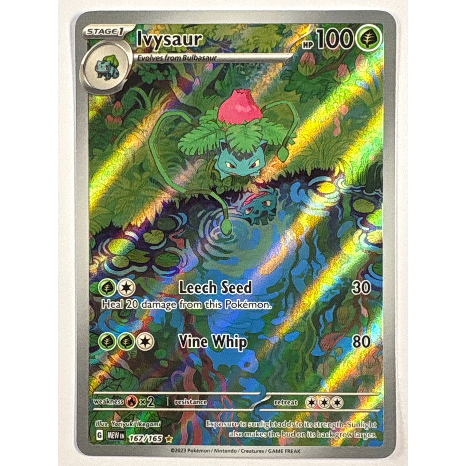 Ivysaur Holo Illustration Rare 167/165 | Local Legends Cards & Collectibles