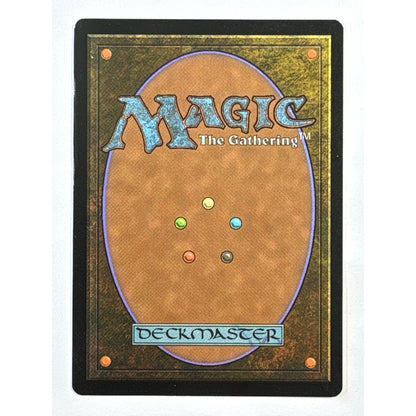 Avenging Hunter Non Foil Common 215/361 | Local Legends Cards & Collectibles