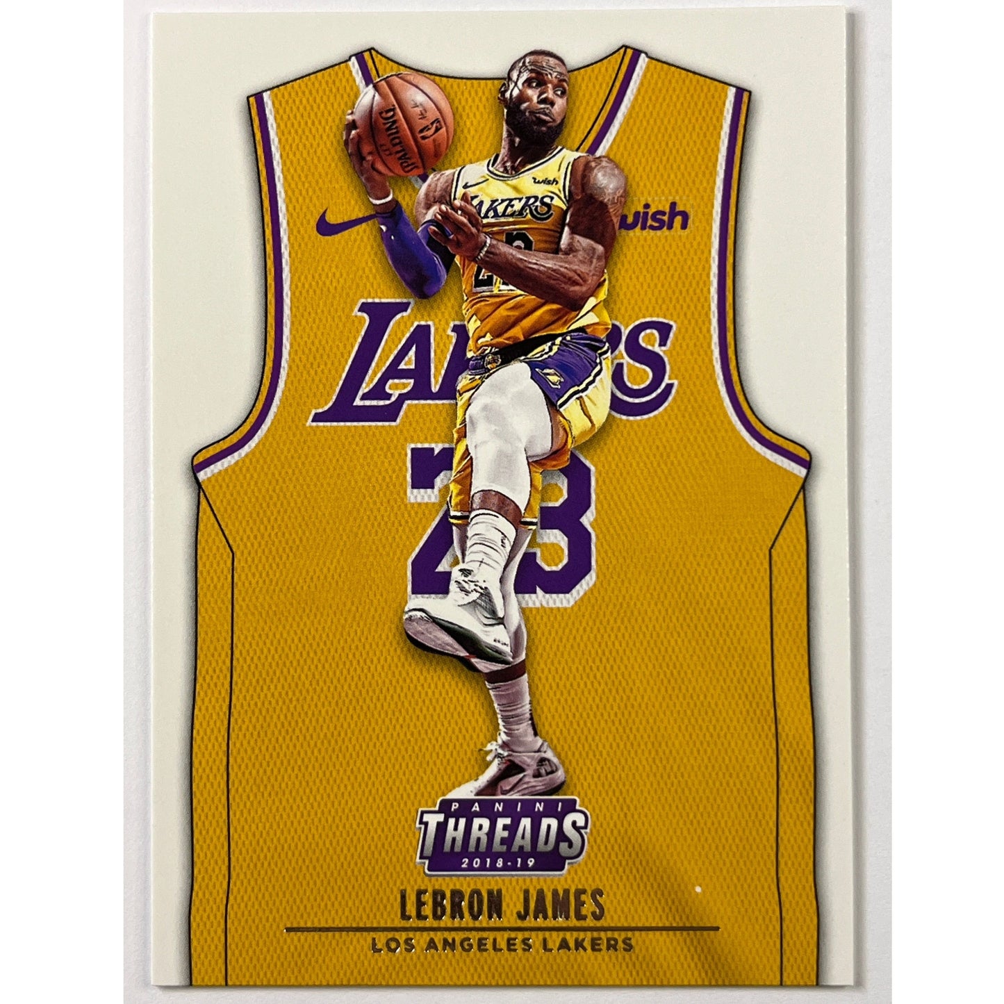 2018-19 Threads LeBron James Threads