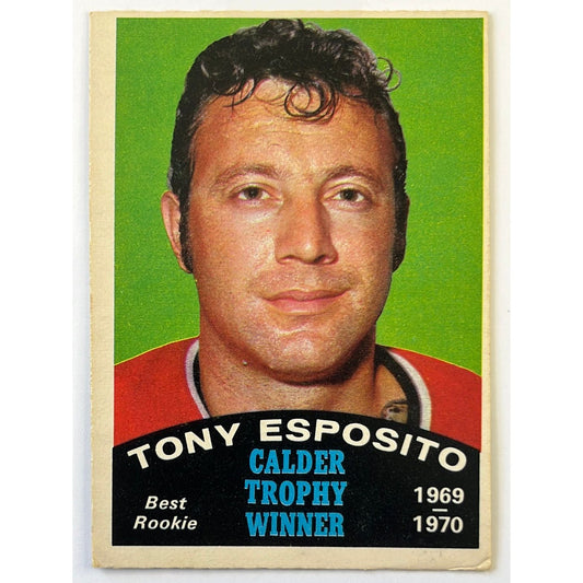 1970-71 O-Pee-Chee Tony Esposito Calder Trophy Winner Puzzle Piece Card #247