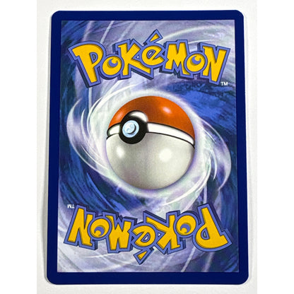 Eevee Holo Black Star Promo 173 | Local Legends Cards & Collectibles