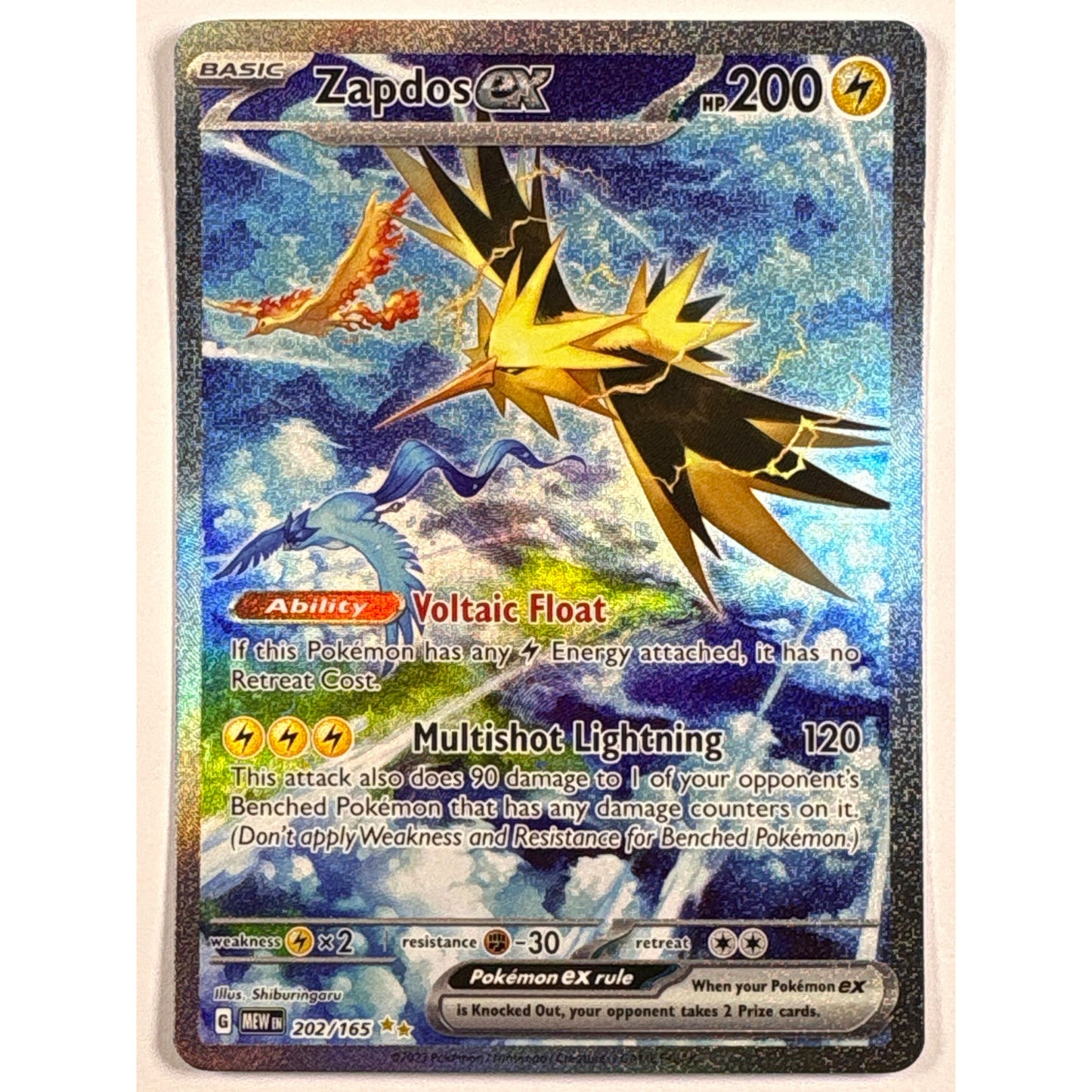 Zapdos EX Holo Special Illustration Rare 202/165
