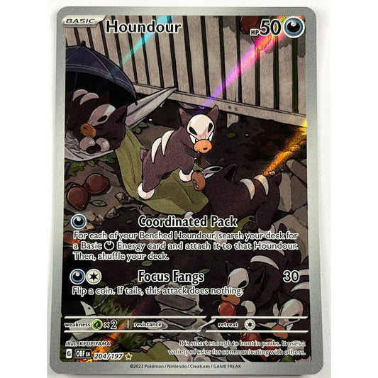 Houndoor Illustration Rare 204/197