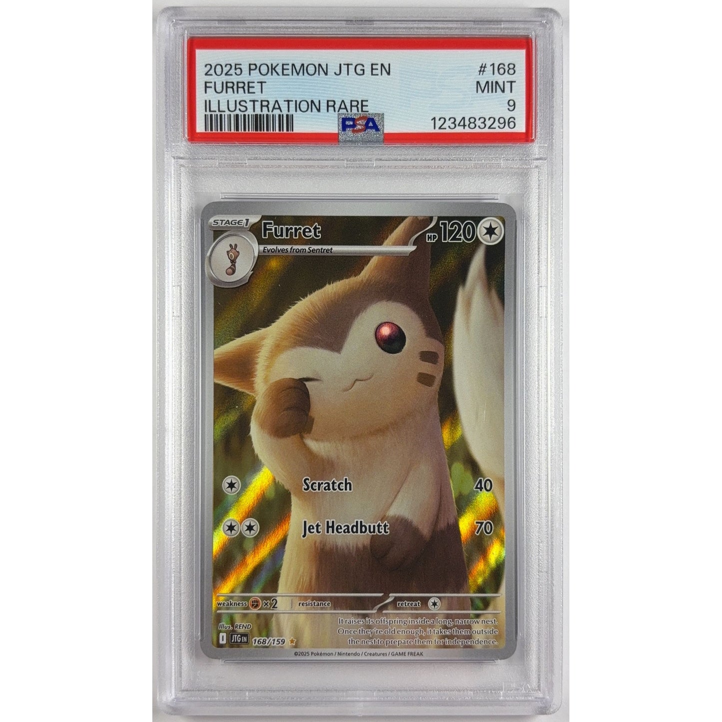 Furret Holo Illustration Rare 168/159 PSA 9 MINT | Local Legends Cards & Collectibles