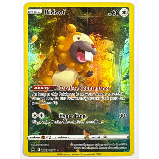 Bidoof Holo Rare GG29/GG70
