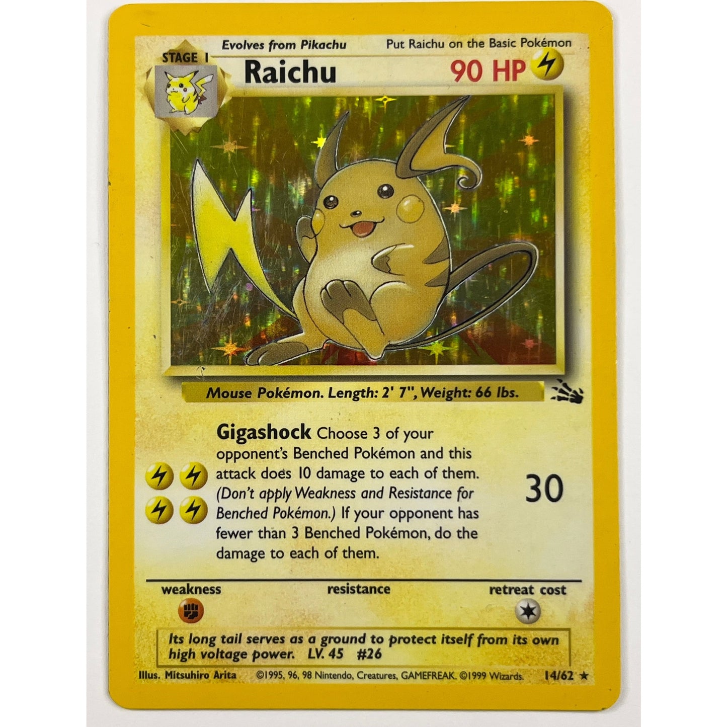 Raichu Holo Rare 14/62