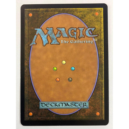 2004 MTG Nature’s Will | Local Legends Cards & Collectibles