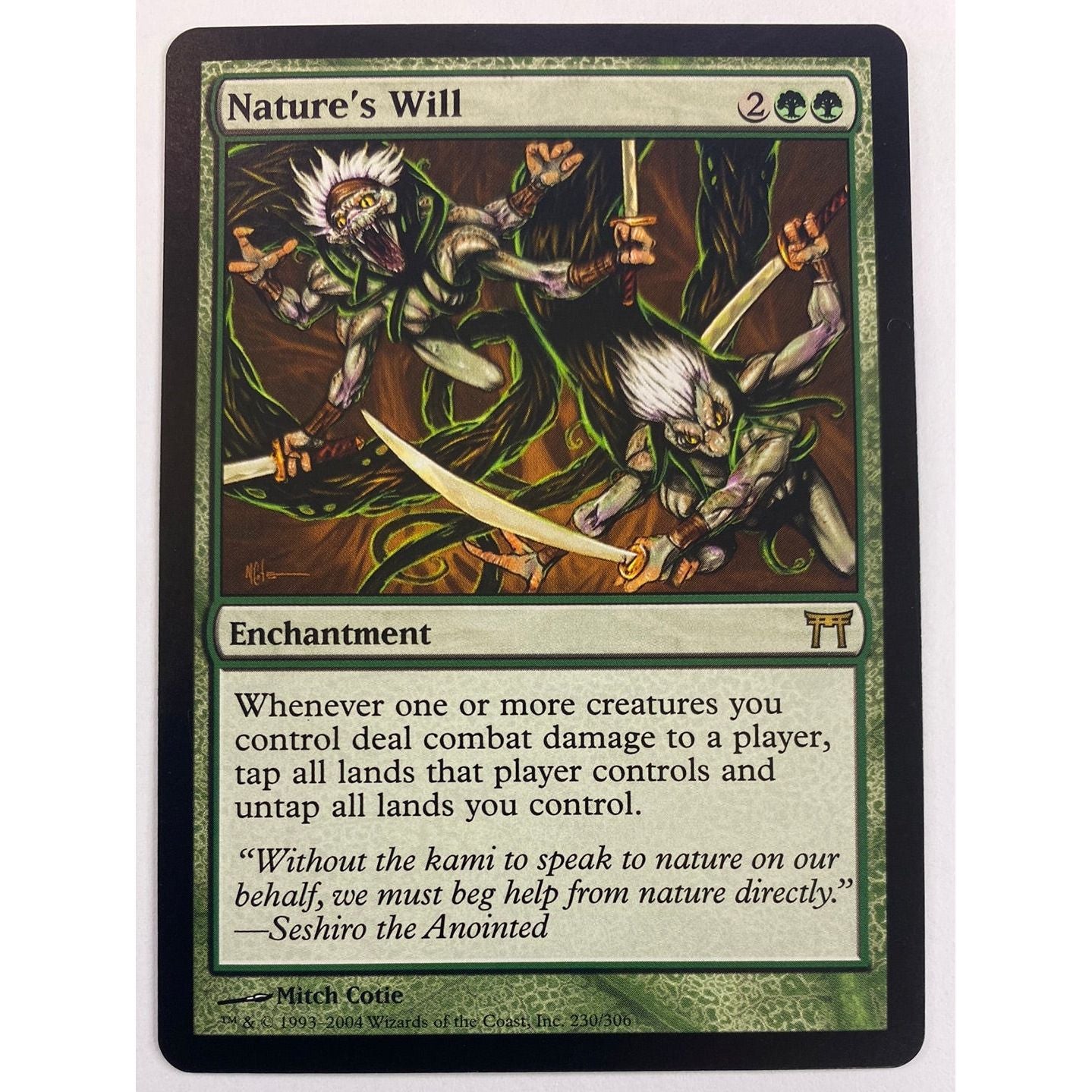 2004 MTG Nature’s Will | Local Legends Cards & Collectibles