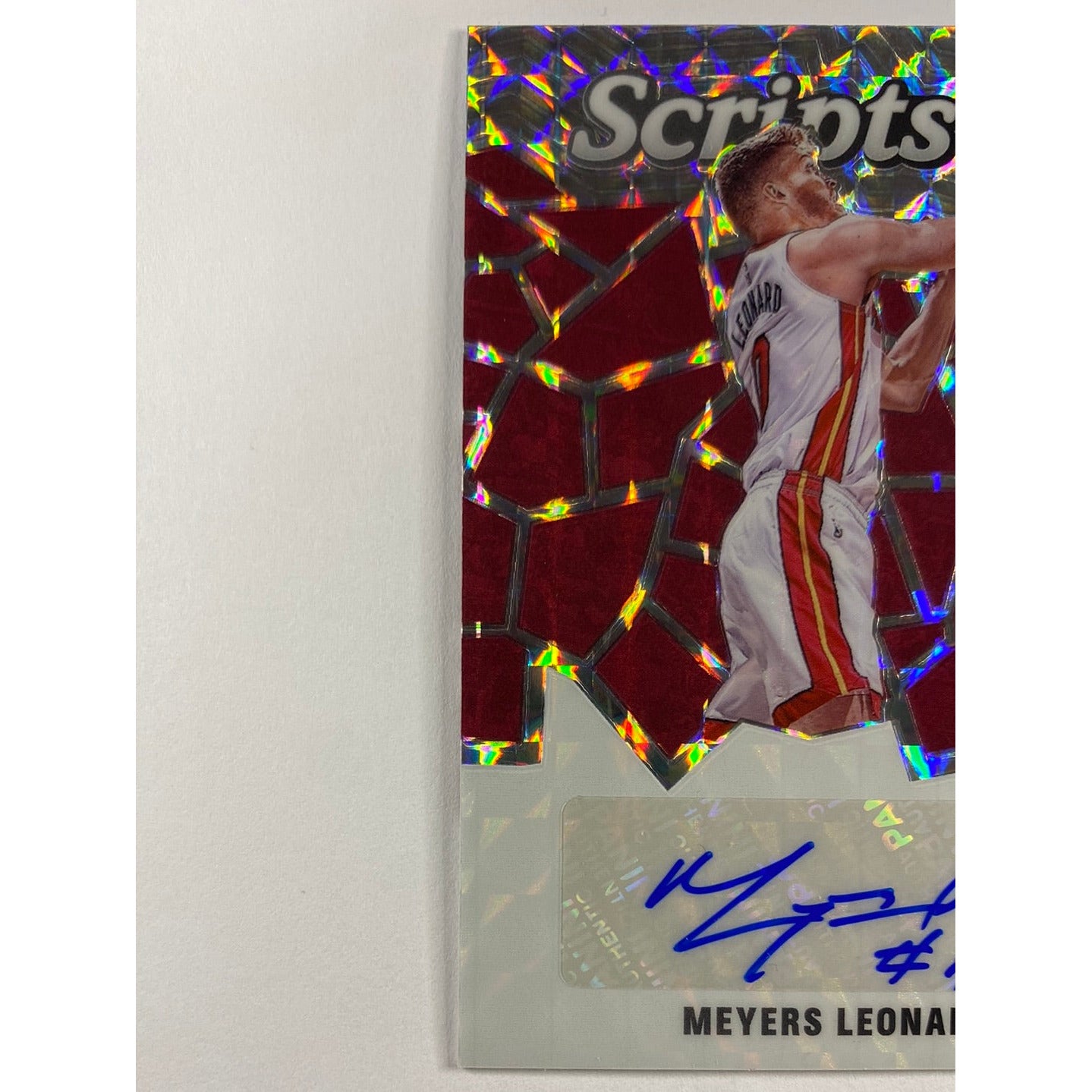 2019-20 Mosaic Meyers Leonard Silver Mosaic Prizm Scripts Auto