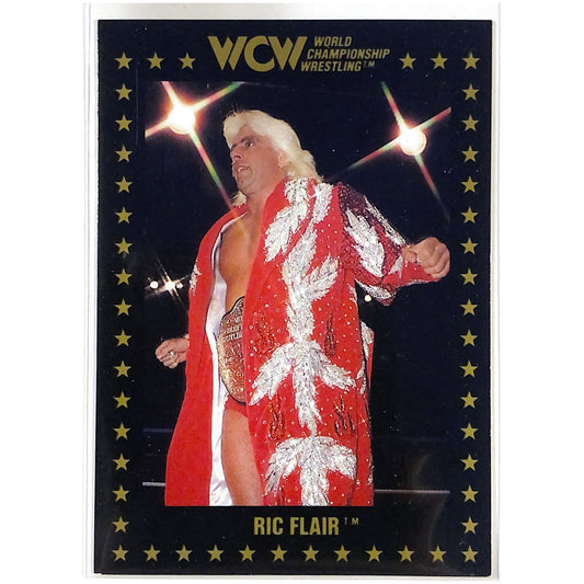  1991 Turner Entertainment WCW Ric Flair #8  Local Legends Cards & Collectibles