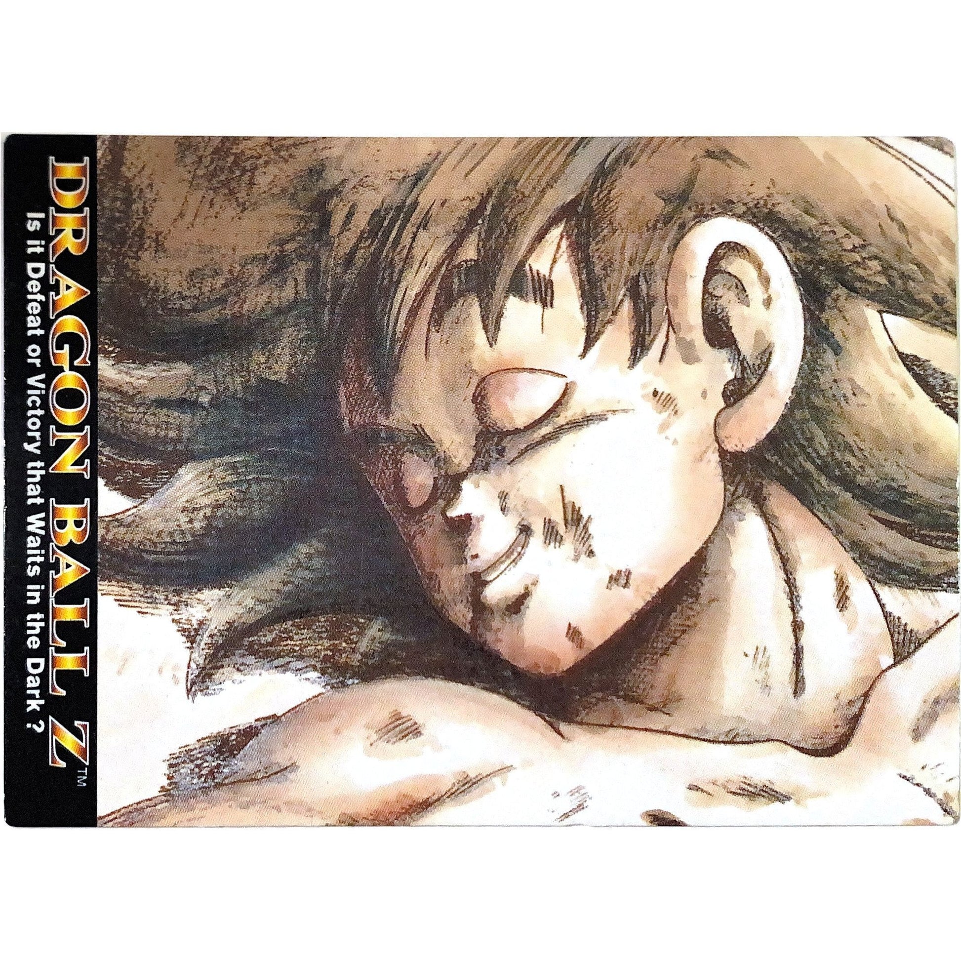  1996 JPP/ Amada Dragon Ball Z Goku #23  Local Legends Cards & Collectibles