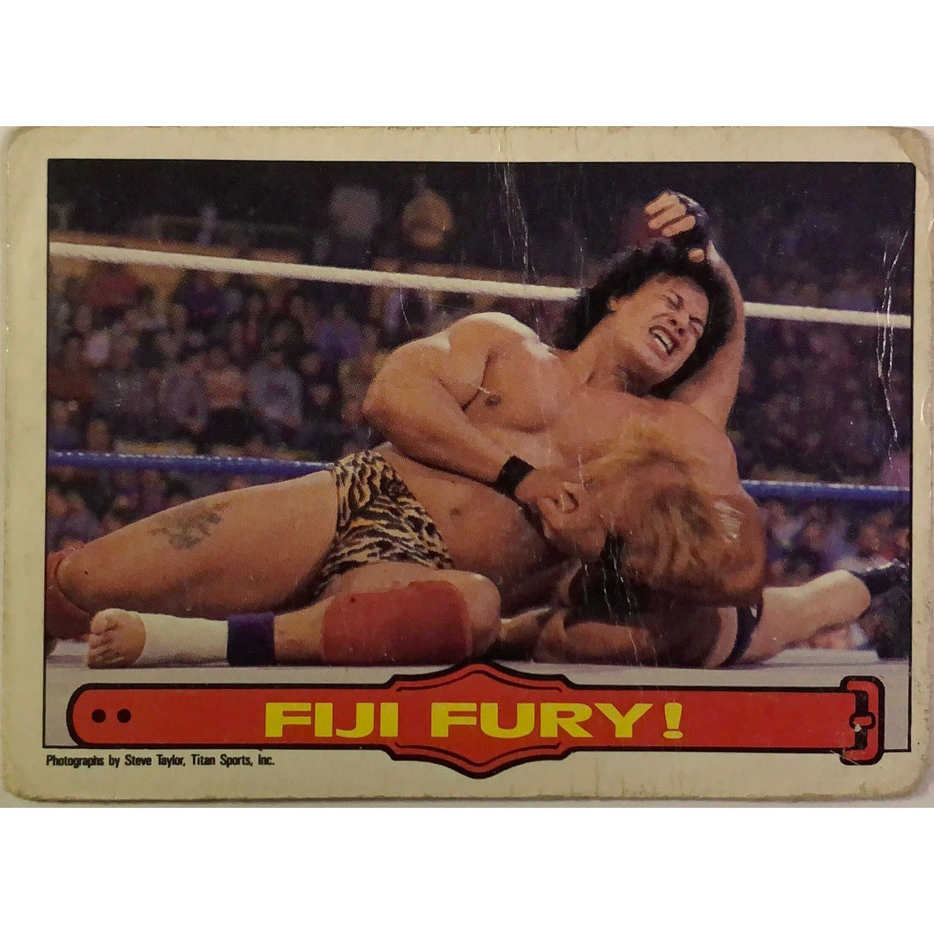  1985 Titan Sports Fiji Fury  Local Legends Cards & Collectibles