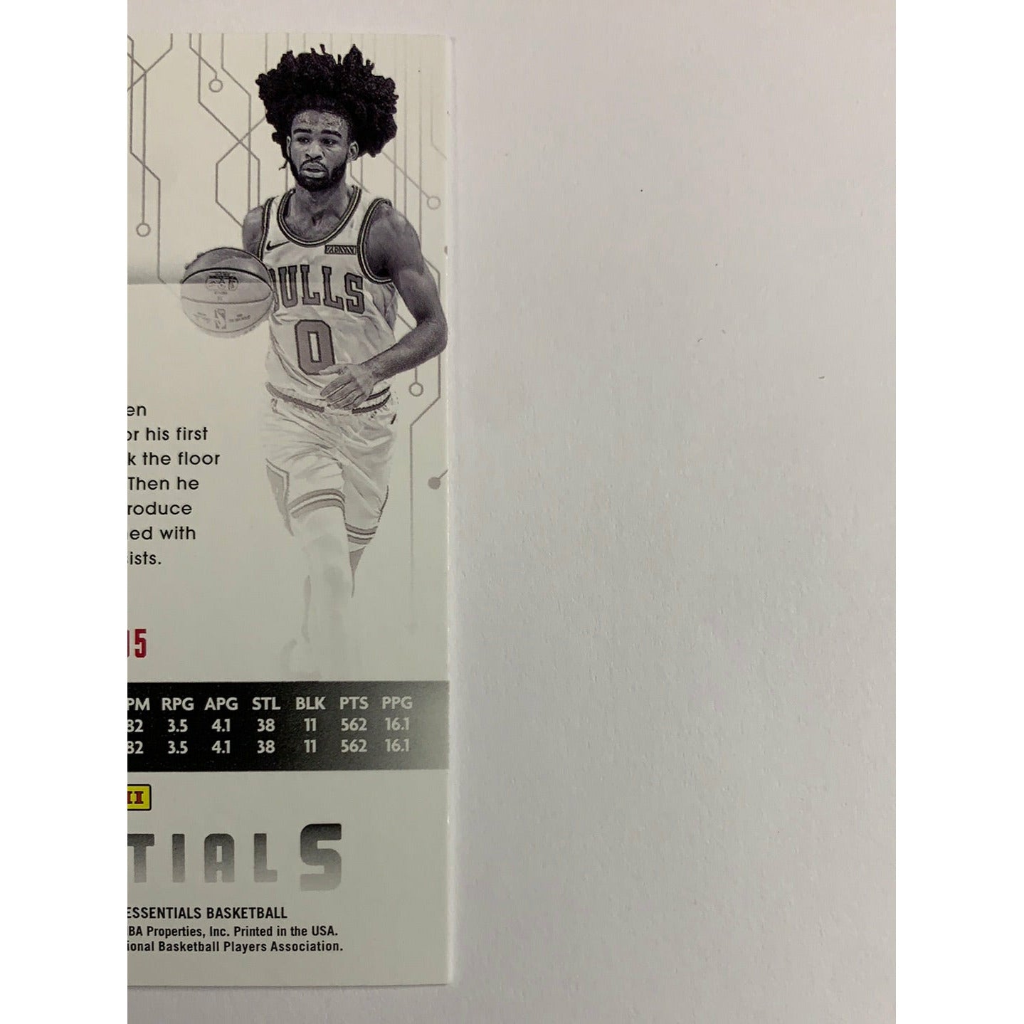 2019-20 Essentials Coby White RC