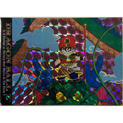  1996 JPP/ Amada Shenron & Gohan Prism Holo #10  Local Legends Cards & Collectibles