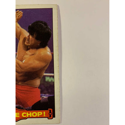 1985 Titan Sports Karate Chop