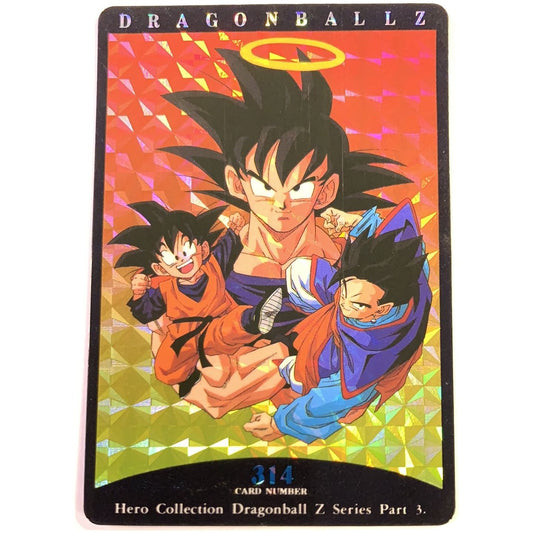  1995 Carte Hero Collection Dragon Ball Z Part 3 Team Z Prism Holo #314  Local Legends Cards & Collectibles