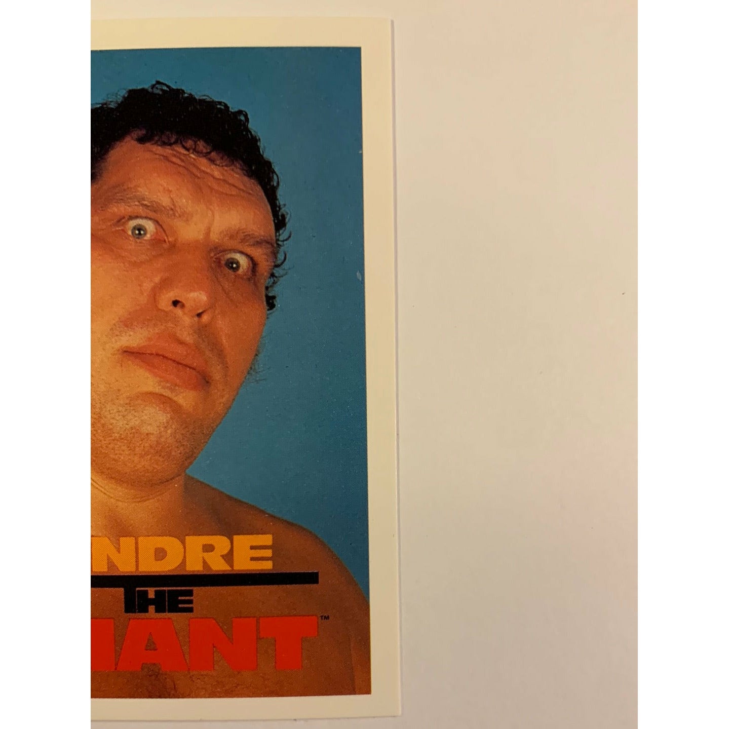1990 Titan Sports André The Giant