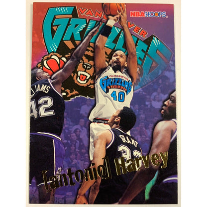 1996 Hoops Antonio Harvey Base #352-Local Legends Cards & Collectibles