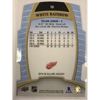  2019-20 Allure Dylan Larkin White Rainbow  Local Legends Cards & Collectibles