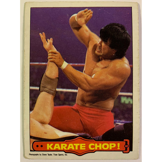 1985 Titan Sports Karate Chop