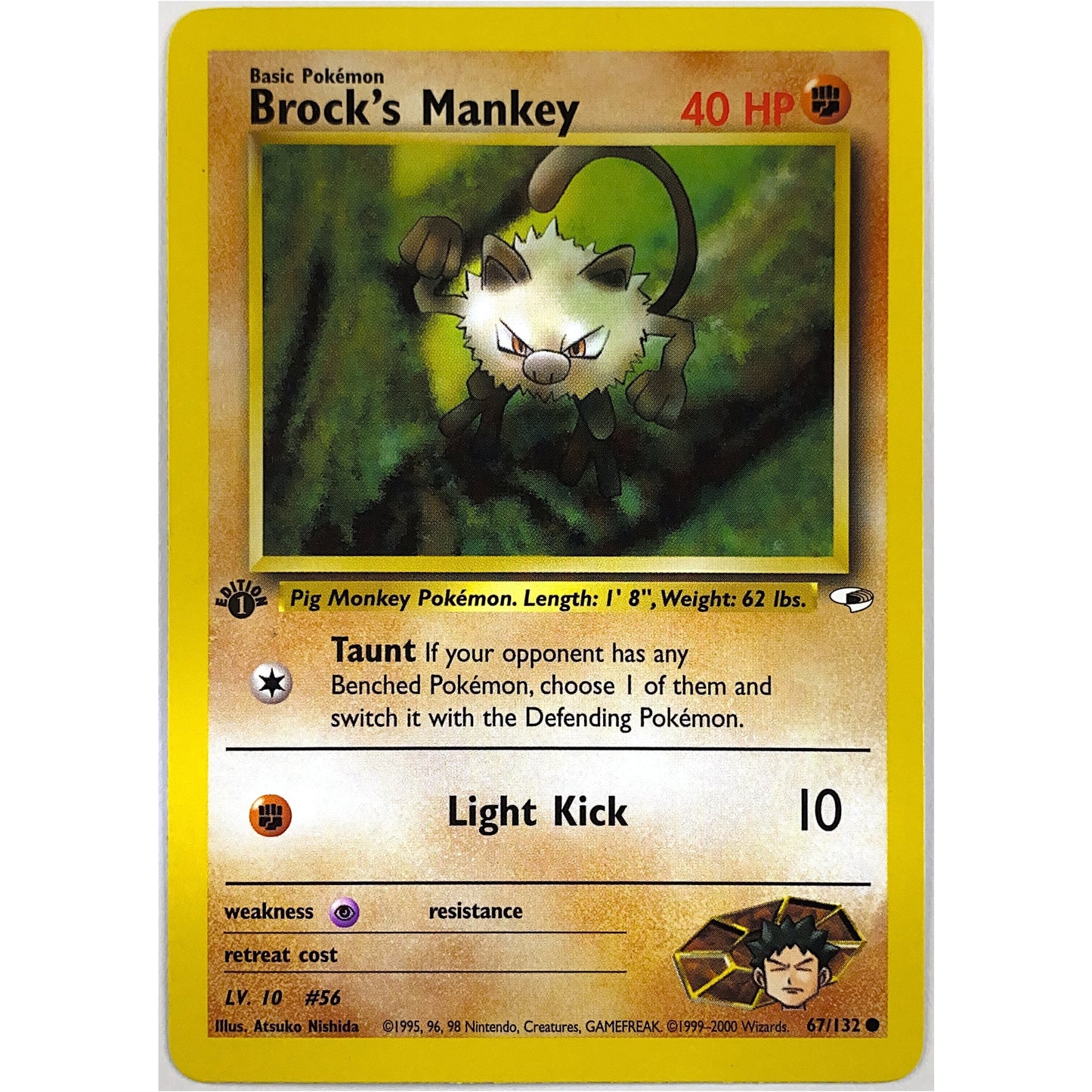 Brock’s Mankey Non-Holo Common 67/132