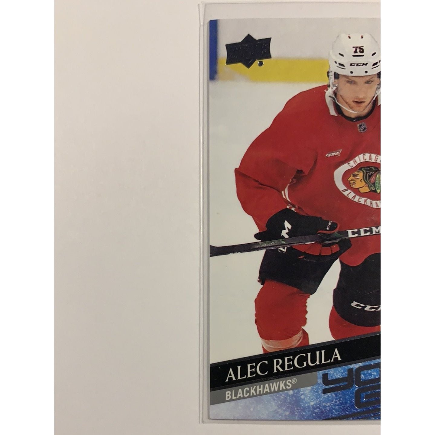  2020-21 Upper Deck Series 2 Alec Regula Young Guns  Local Legends Cards & Collectibles