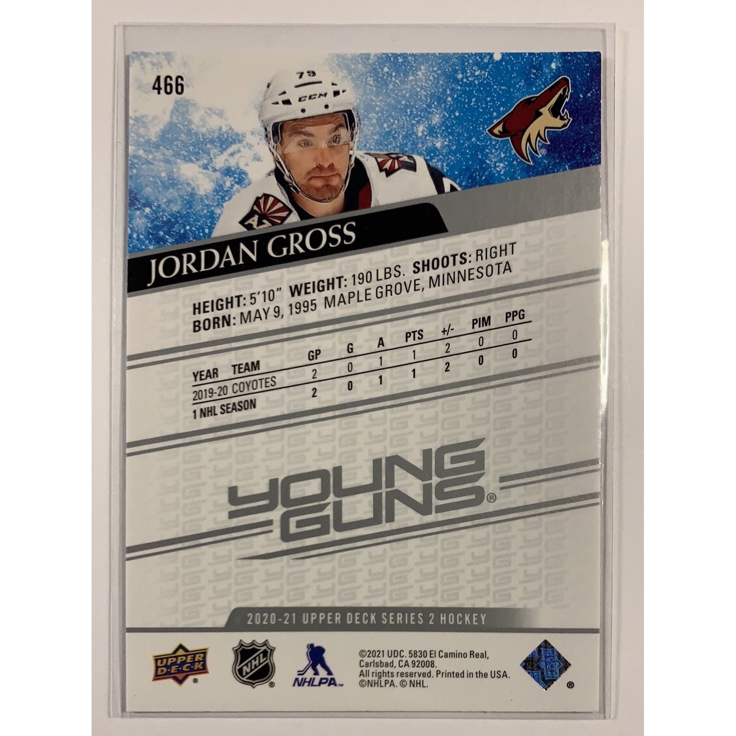  2020-21 Upper Deck Series 2 Jordan Gross Young Guns  Local Legends Cards & Collectibles