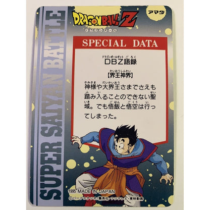  1995 Carte Hero Collection Dragon Ball Z Part 3 Team Z Prism Holo #314  Local Legends Cards & Collectibles