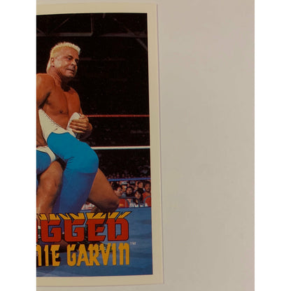 1990 Titan Sports Rugged Ronnie Garvin